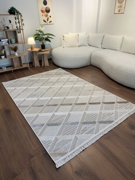 Alessa Serisi Bej İskandinav Modern Dokuma Halı T-PE01