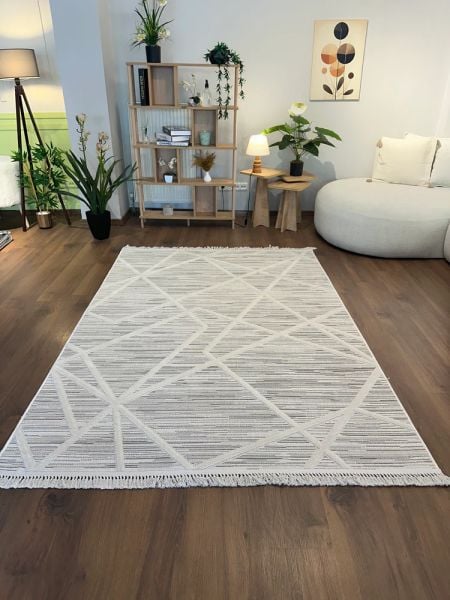 Alessa Serisi Gri İskandinav Modern Dokuma Halı T-PE04