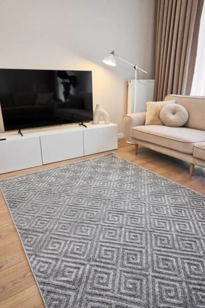 Alessa Serisi Gri Renk Dokuma Halı AP-6814