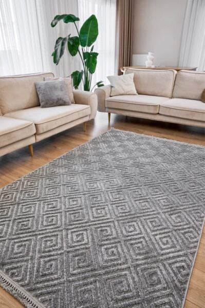 Alessa Serisi Gri Renk Dokuma Halı AP-6814