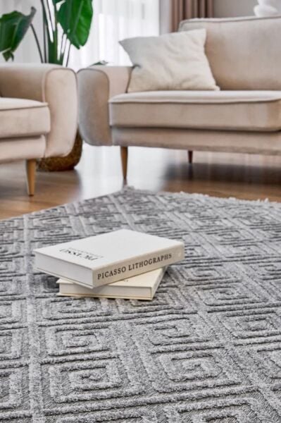 Alessa Serisi Gri Renk Dokuma Halı AP-6814